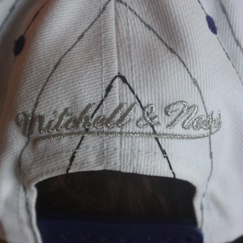 Mitchell & Ness NBA Toronto Raptors SnapBack - Picture 8 of 8